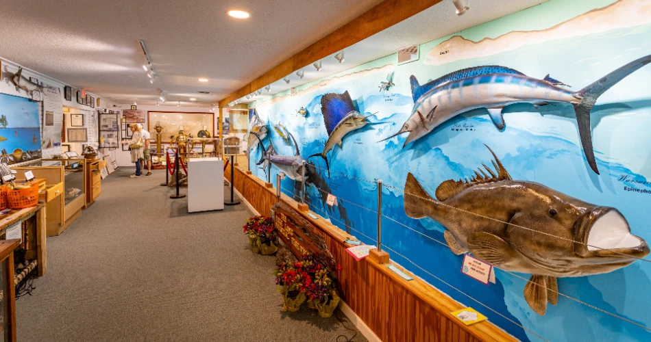 10 Best Attractions in Destin, FL